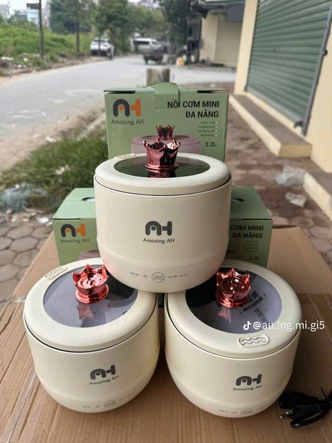 Nồi Cơm Điện Amazing AH 2.2L