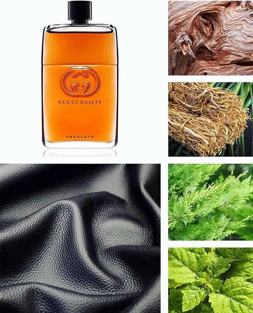 Nước Hoa Gucci Guilty Absolute EDP