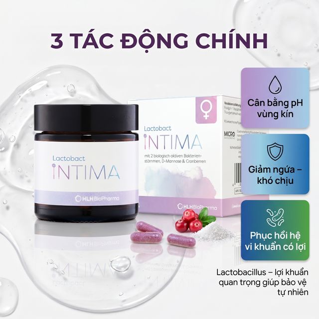 Lactobact Intima