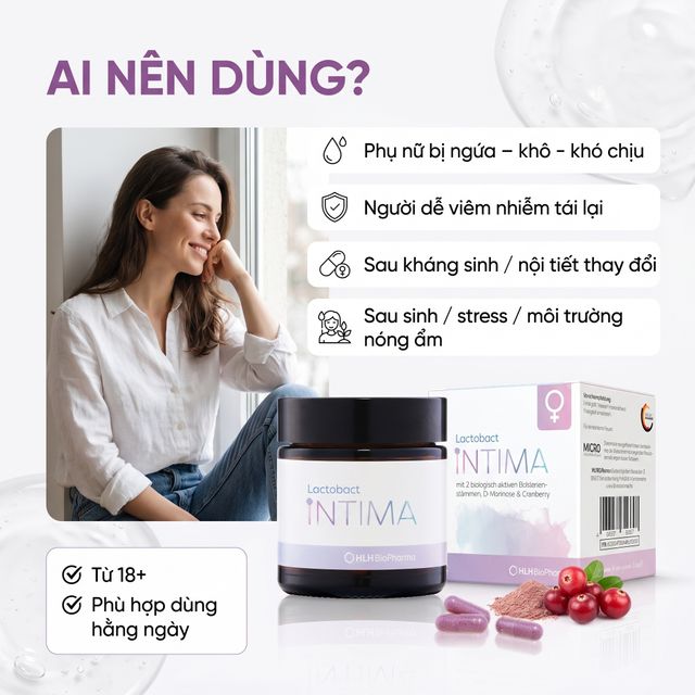 Lactobact Intima