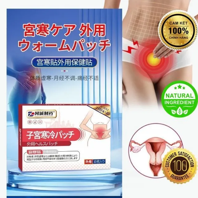 10 Miếng D&aacute;n Thảo Mộc Miyakan Nhật Bản