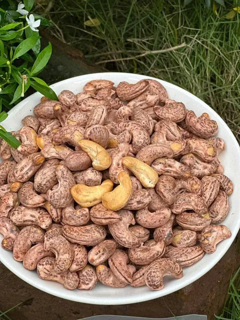 Hạt Điều Rang Muối T&acirc;m An Food