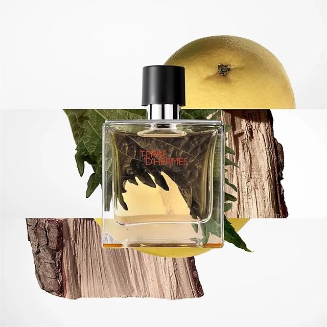 Herm&egrave;s Terre D&rsquo;Hermes Parfum