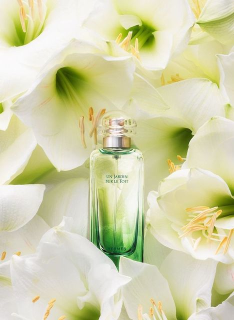 Nước hoa Herm&egrave;s Un Jardin Sur Le Nil cho từng khoảnh khắc
