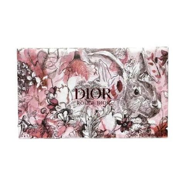 Set Son Mini Dior Rouge