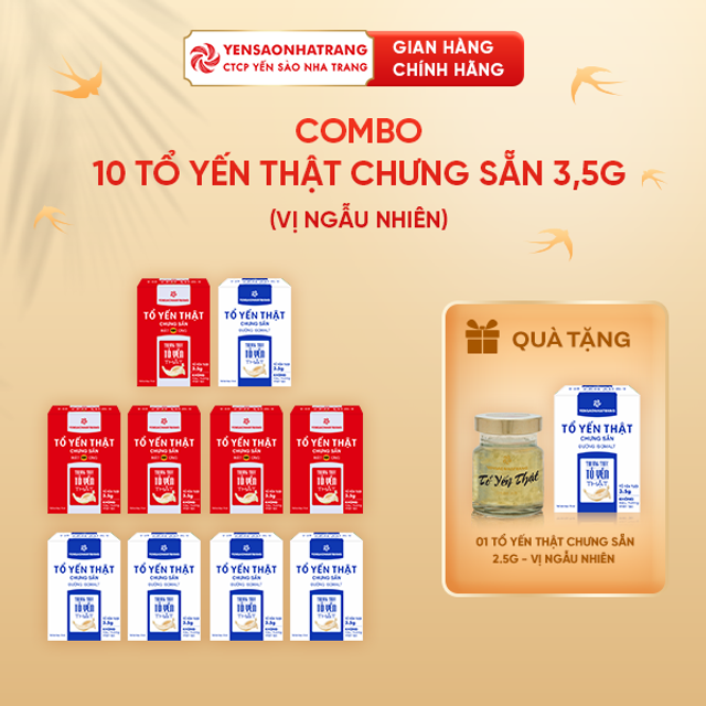 Combo 10 Tổ Yến Thật Chưng Sẵn 3,5g