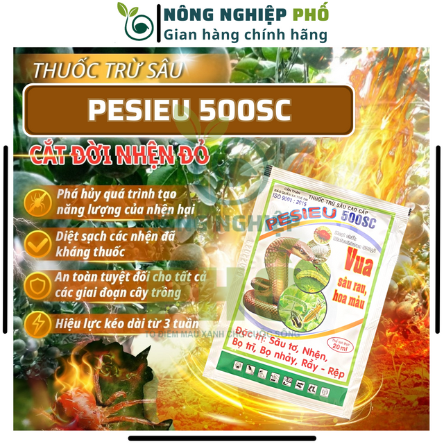 image product content 1