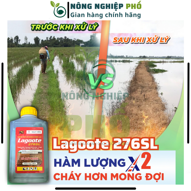 image product content 1