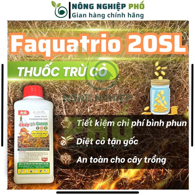 image product content 1