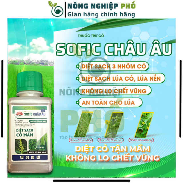 image product content 2