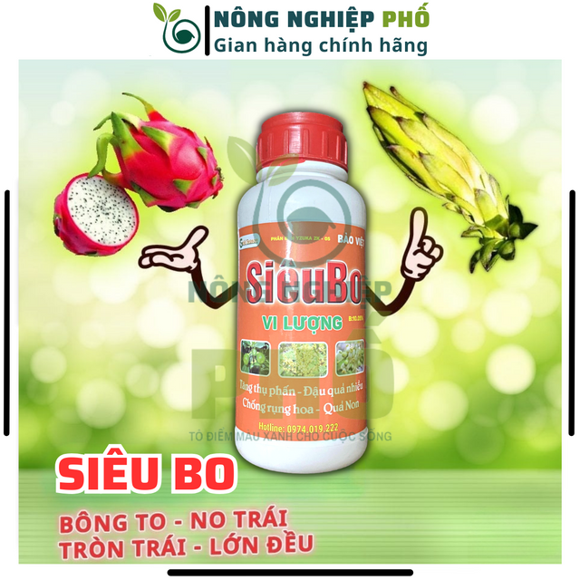 image product content 1