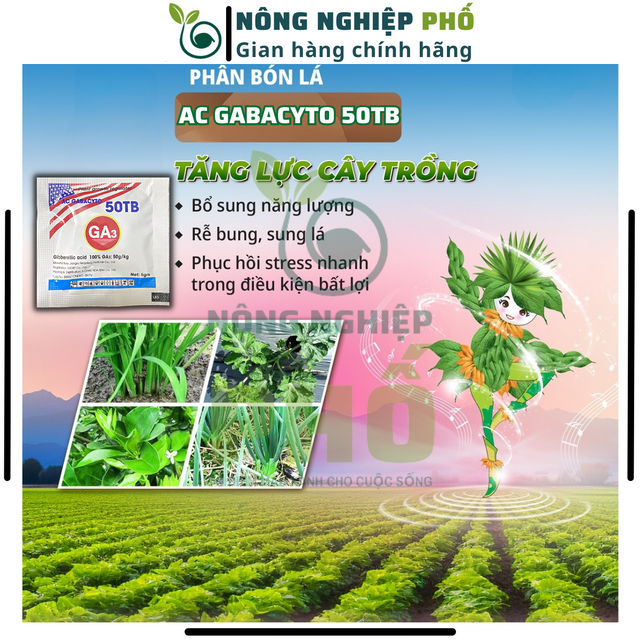image product content 1