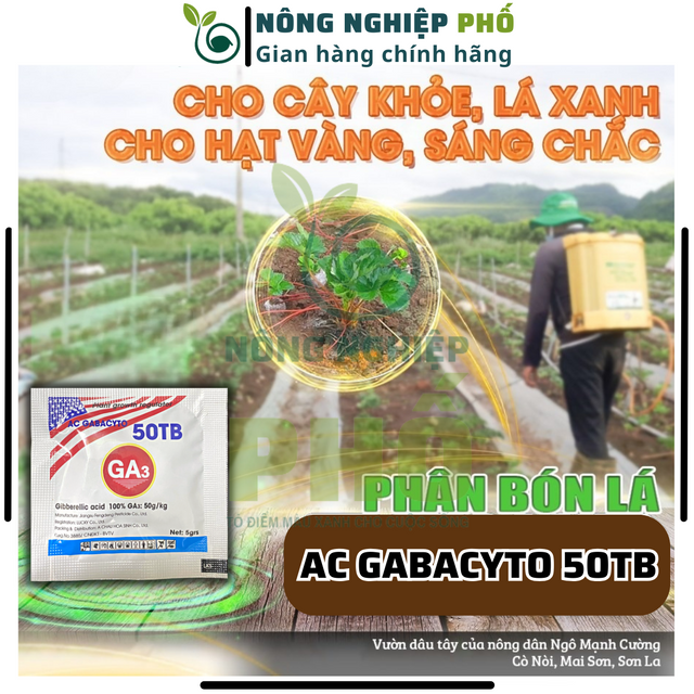 image product content 2
