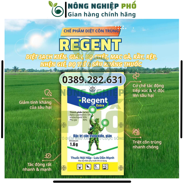 image product content 1