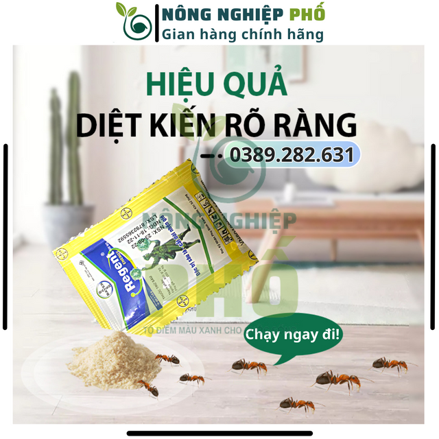 image product content 3