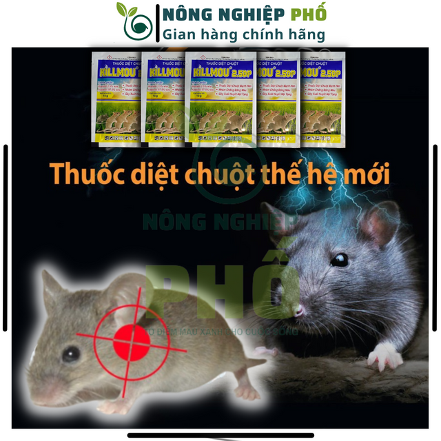 image product content 1