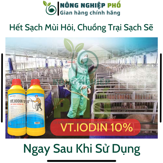 image product content 1