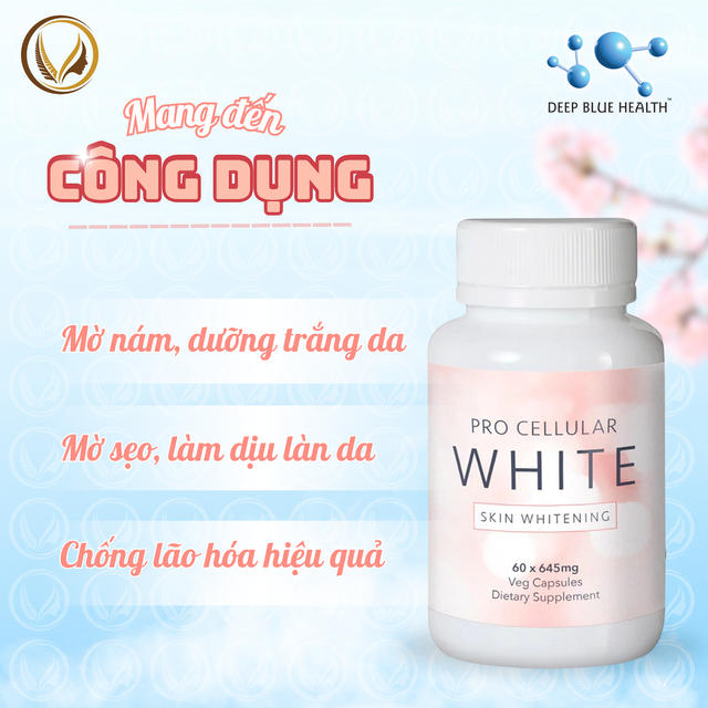 image product content 3