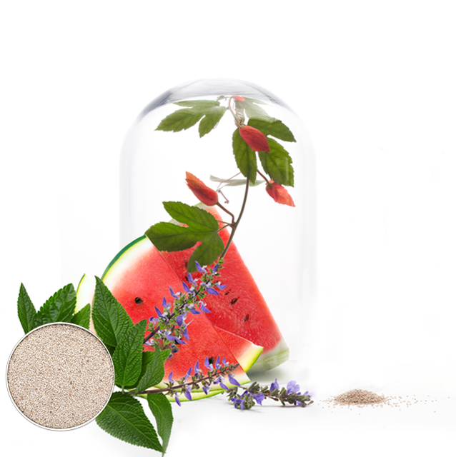 image product content 2