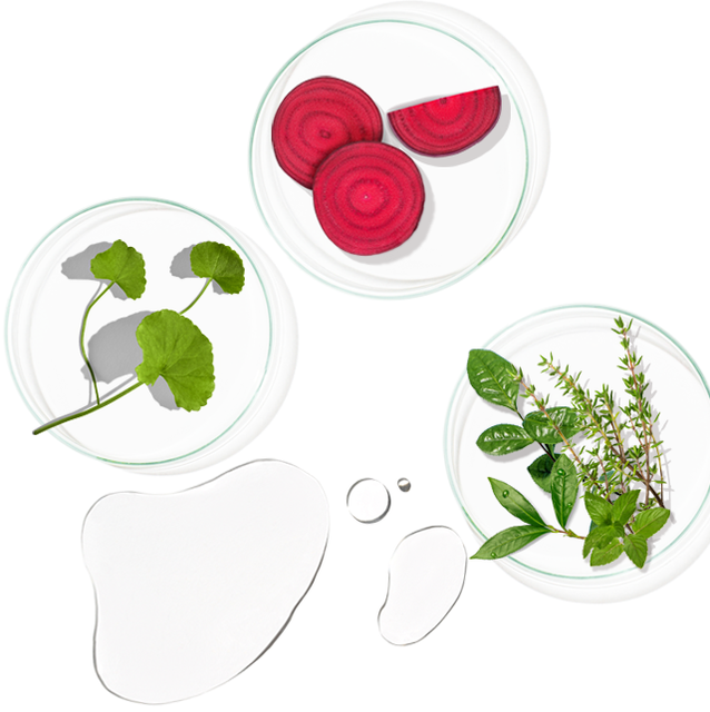 image product content 6