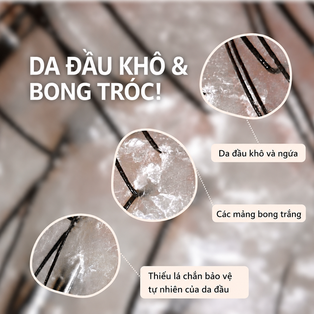image product content 5