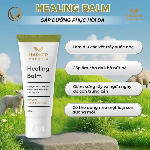 image product content 2