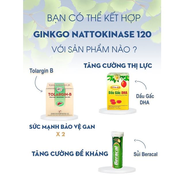 Hướng dẫn sử dụng vi&ecirc;n uống Ginkgo Nattokinase