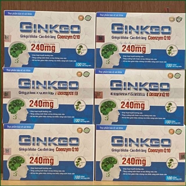Ginkgo Biloba 240mg Coenzym Q10