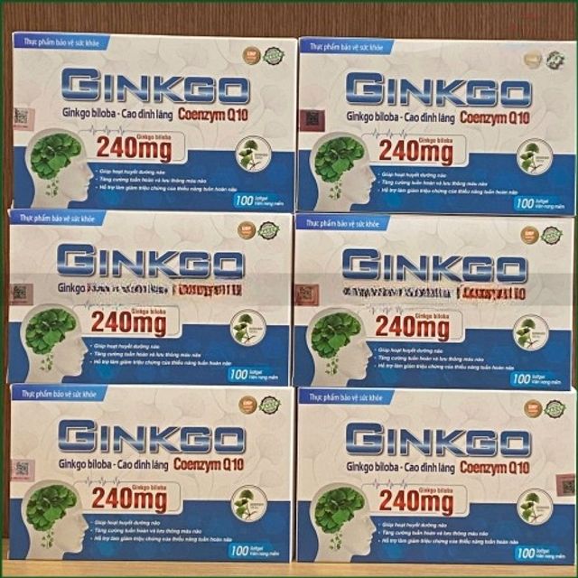 Ginkgo Bilo Ba 240mg