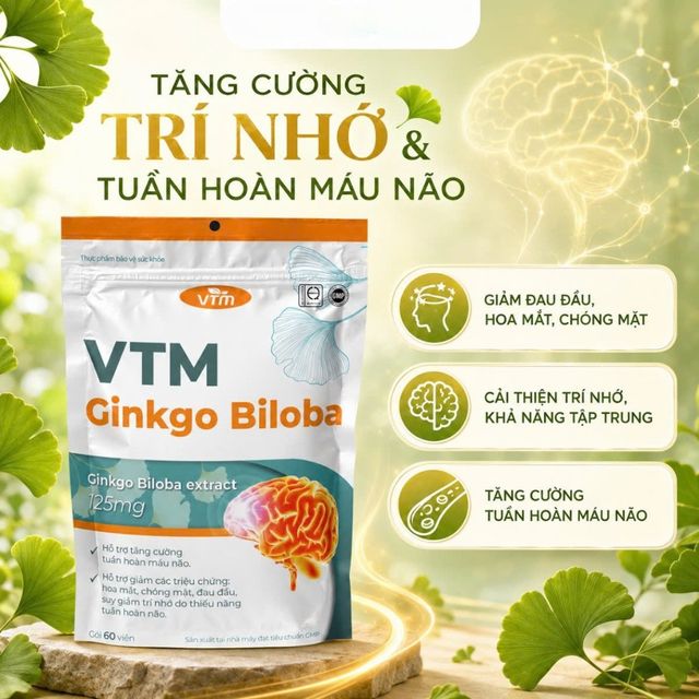 Vi&ecirc;n uống bổ n&atilde;o VTM Ginkgo Biloba
