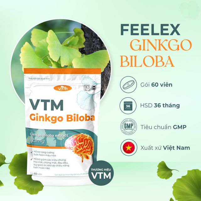 Vi&ecirc;n uống bổ n&atilde;o VTM Ginkgo Biloba