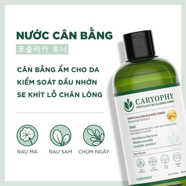 Nước Hoa Hồng Caryophy Chăm S&oacute;c Da Dầu Mụn Portulaca Toner