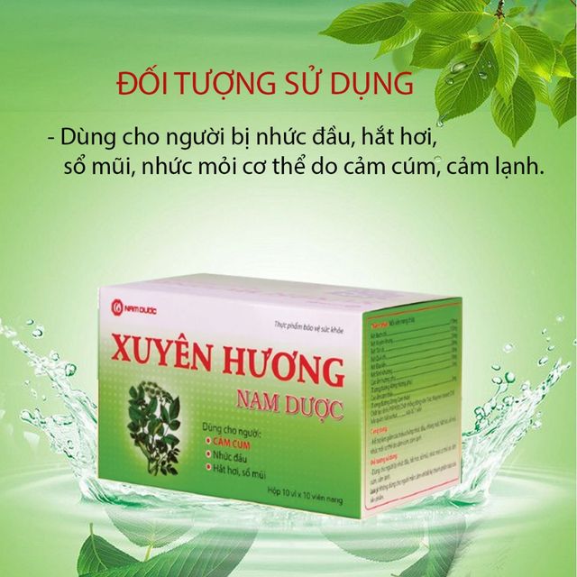 Xuy&ecirc;n Hương Nam Dược - Hỗ Trợ Vi&ecirc;m Xoang