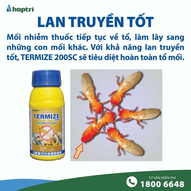 image product content 2