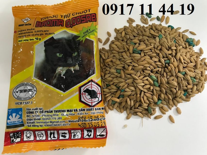 image product content 1