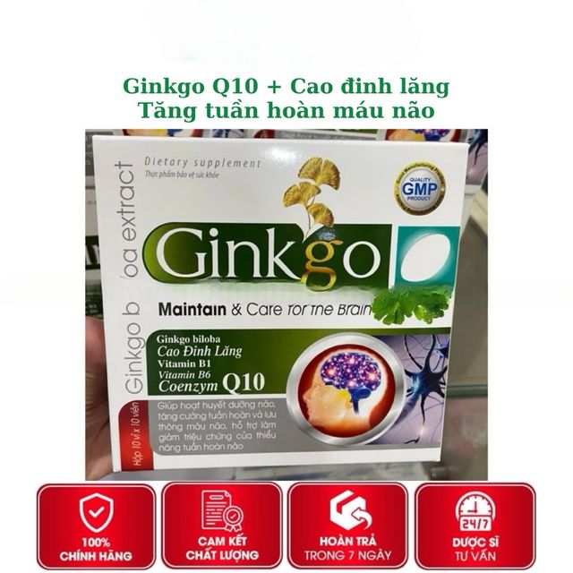 H&igrave;nh ảnh sản phẩm Ginkgo biloba H100v