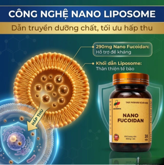 Vi&ecirc;n uống Nano Fucoidan Biochempha