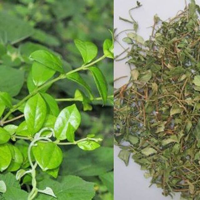 Hộp sản phẩm Tr&agrave; D&acirc;y Th&igrave;a Canh
