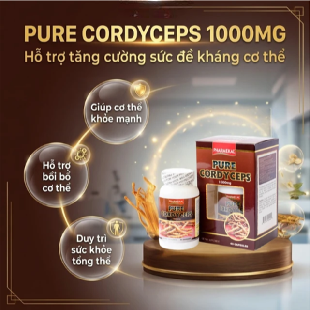 lợi &iacute;ch của Đ&ocirc;ng tr&ugrave;ng hạ thảo