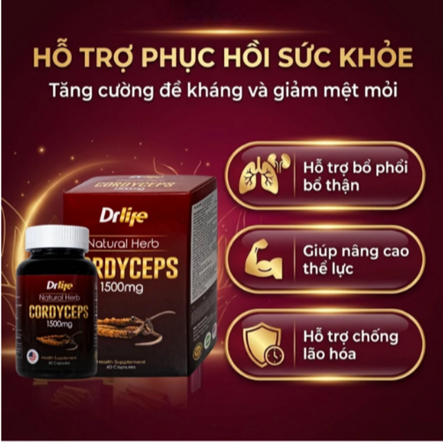 Vi&ecirc;n uống Đ&ocirc;ng Tr&ugrave;ng Hạ Thảo trong cuộc sống