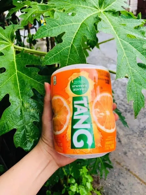 Bột cam Tang Orange Naranja 566g