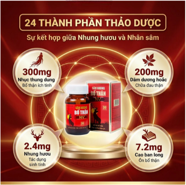 S&acirc;m Nhung Bổ Thận NV