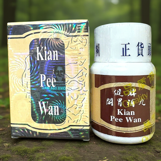 Viên uống tăng cân Kian Pee Wan - Kiện tỳ ăn ngủ ngon - Loại siêu xịn - Nhập Khẩu Malaysia – Hỗ Trợ Hấp Thụ Dinh Dưỡng, cho người cơ địa khó tăng cân, gầy ốm lâu năm - Mã 1062 1