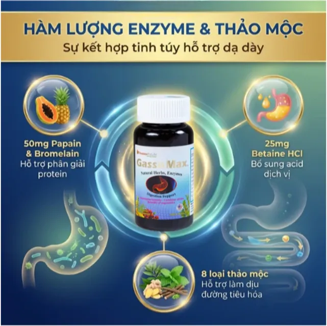 Hướng dẫn sử dụng Gasso Max