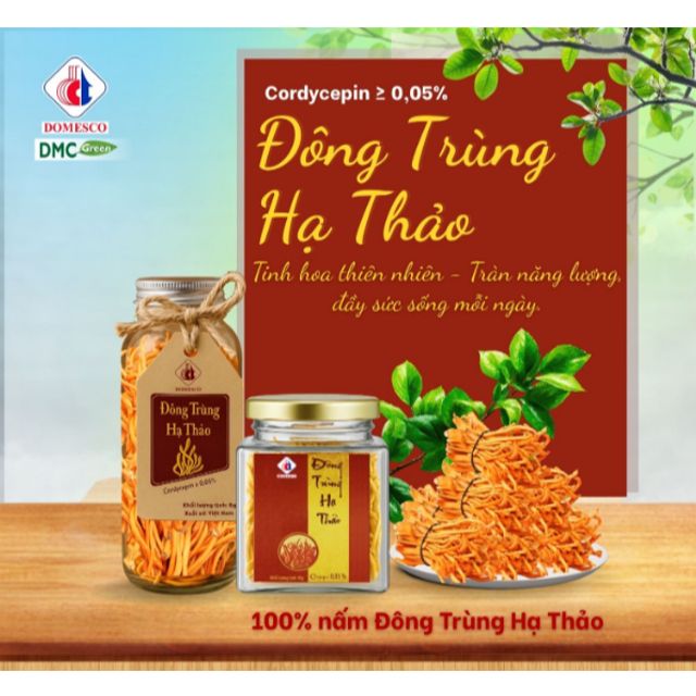 Đ&ocirc;ng Tr&ugrave;ng Hạ Thảo sấy kh&ocirc; chai 6g