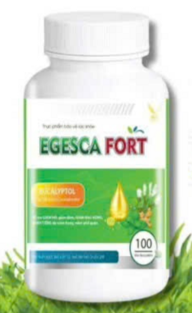 Egesca Fort