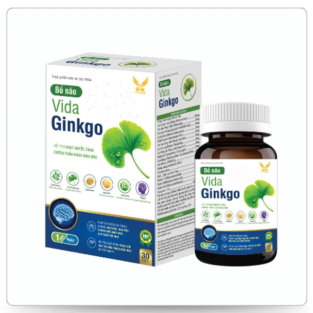 VIDA GINGKO - Vi&ecirc;n uống hỗ trợ hoạt huyết