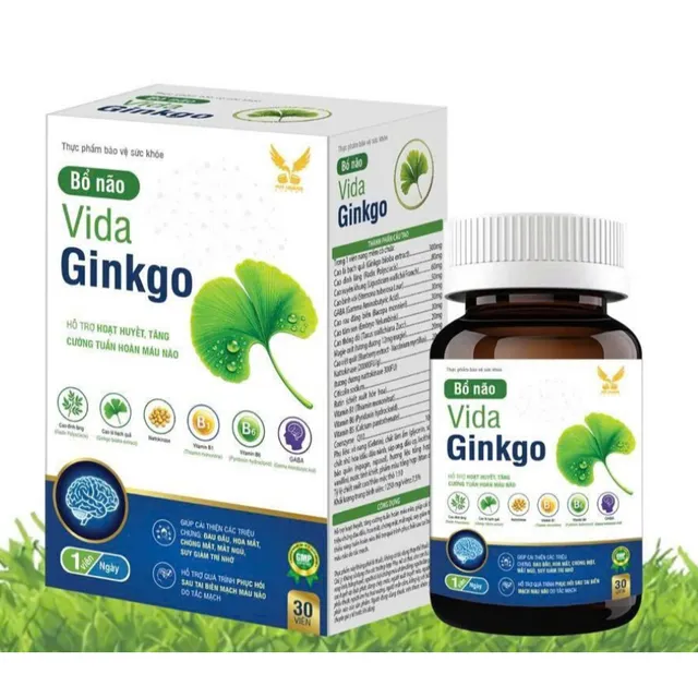 VIDA GINGKO - Vi&ecirc;n uống hỗ trợ hoạt huyết