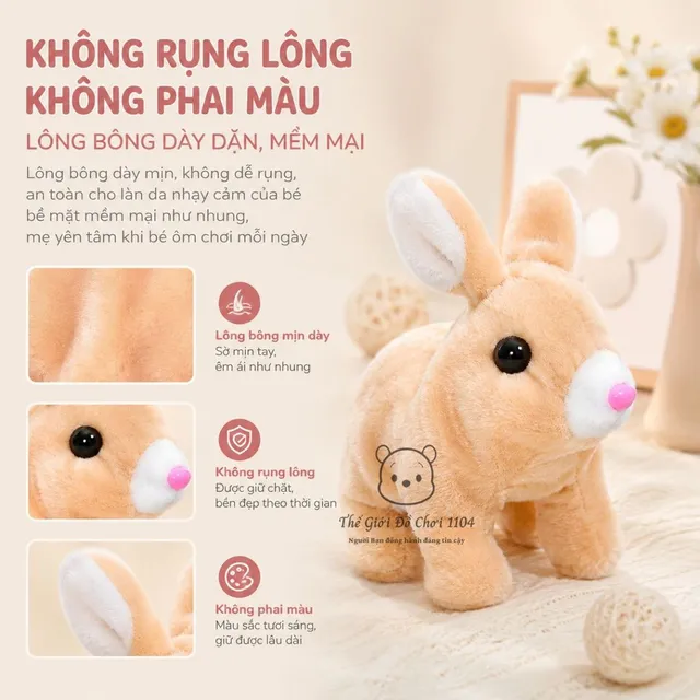 image product content 3