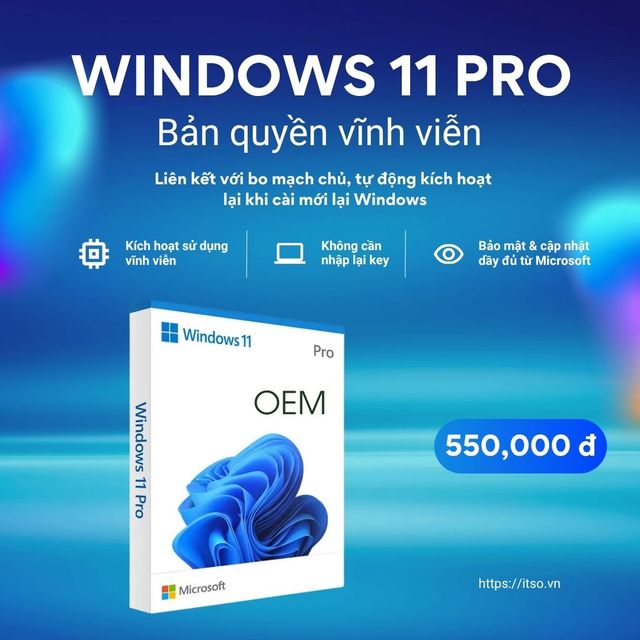 Bản quyền Windows 11 Pro (Li&ecirc;n kết với Mainboard, OEM Key)